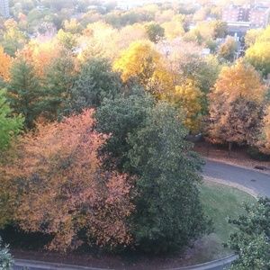 Meet your Posher, Lashunda